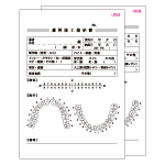 2枚複写カンタン歯科技工指示書(B6)