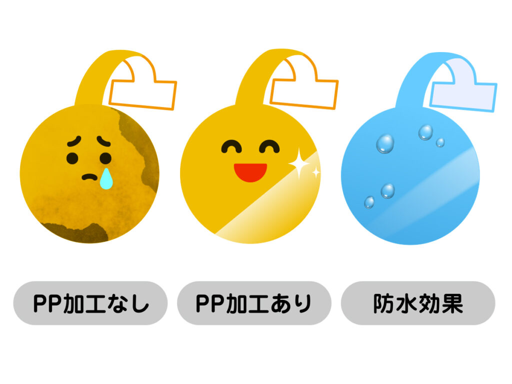 PP加工の有無で耐久性や棒数高価が見込めます