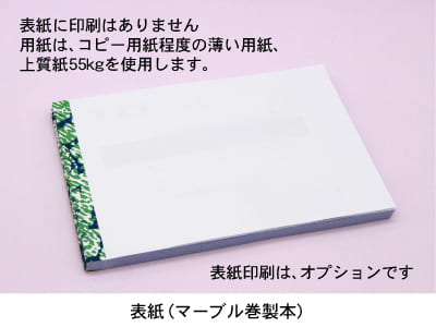 カラー領収書(領収証) 伝票の見本