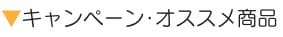 キャンペーン一覧